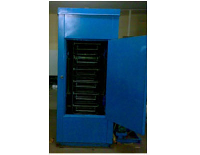 Conveyorized Curing Oven